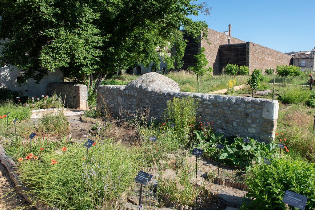 Jardin ethnobotanique de Maison Rouge, à Saint-Jean-du-Gard.