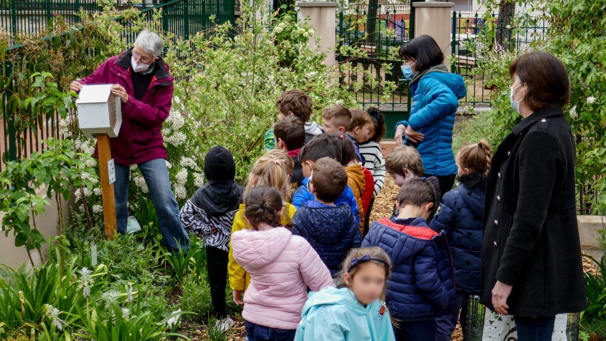 une animatrice du cpie du gard fait découvrir a des ecoliers les hotels a pollinisateur les dorloteurs.