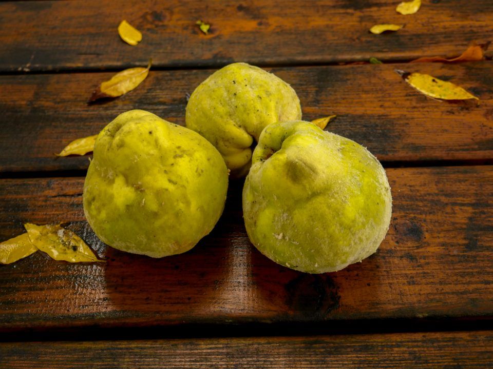 trois coings posés sur une table en bois