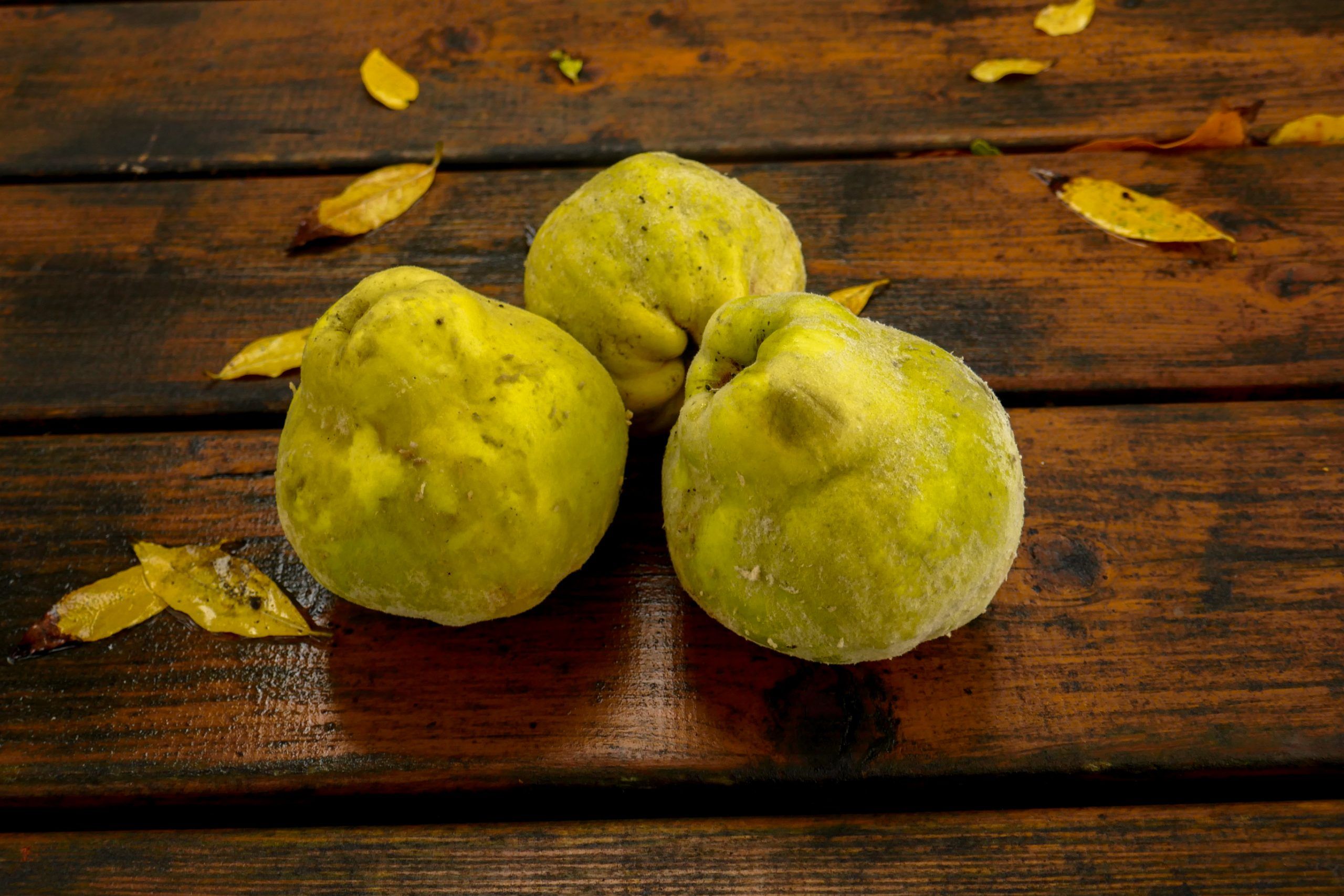 trois coings posés sur une table en bois