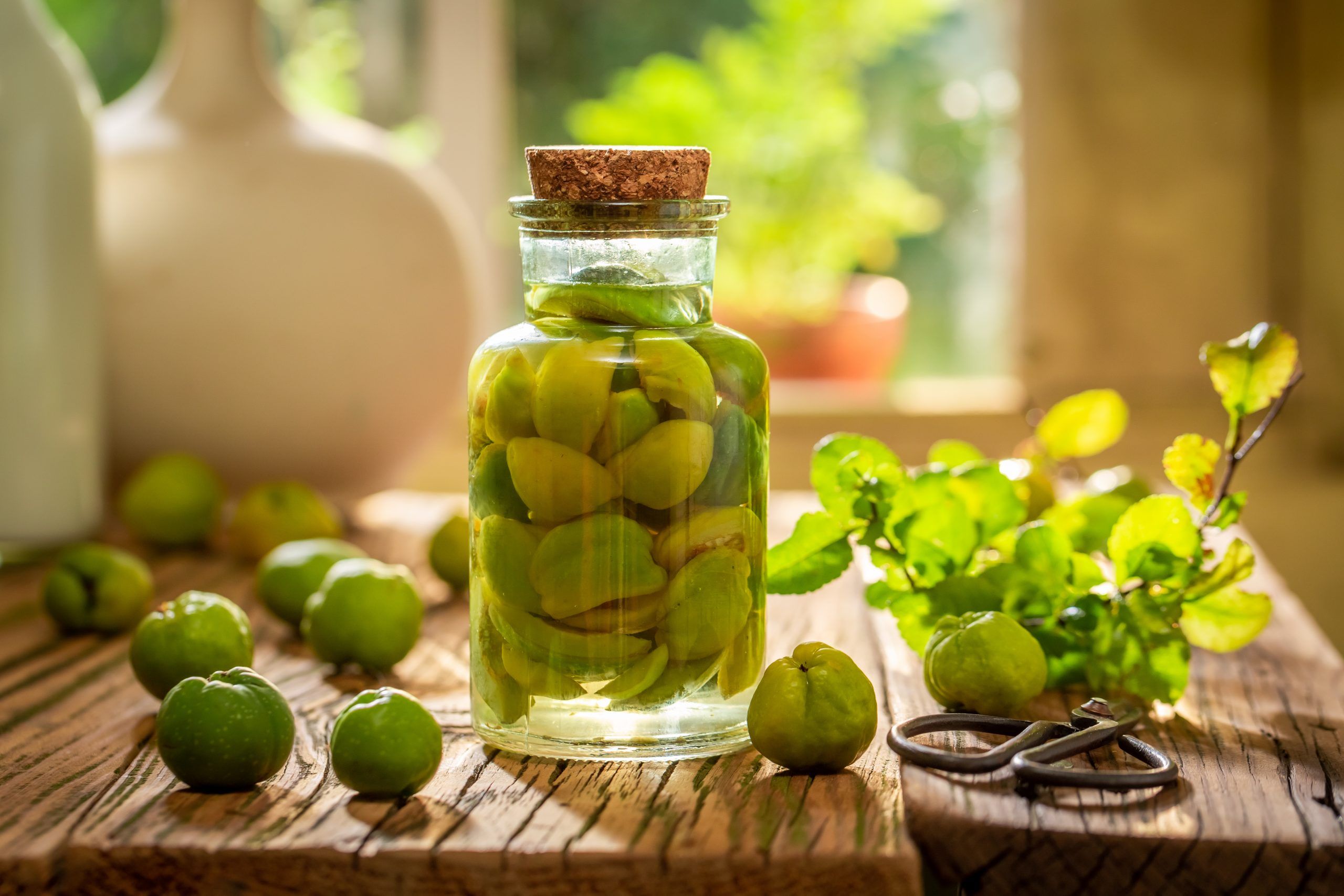 Homemade quince tincture made of fresh fruits and alcohol