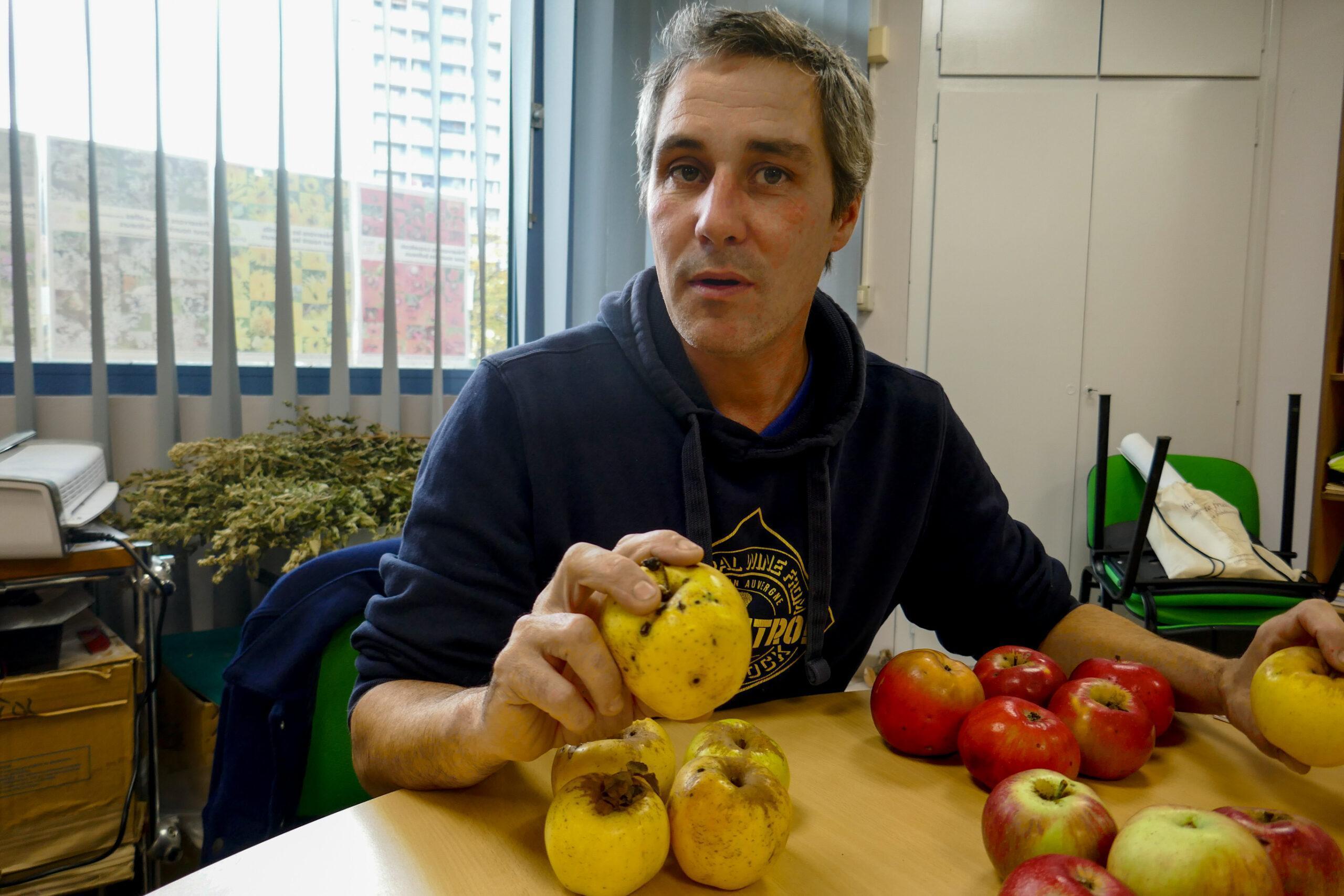 Homme avec des pommes devant une table.