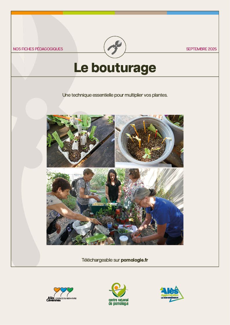 couv_fiche_pedagogique_bouturale