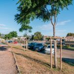 de jeunes arbres sont maintenus par des tuteurs après avoir été plantés à Alès dans le Gard.
