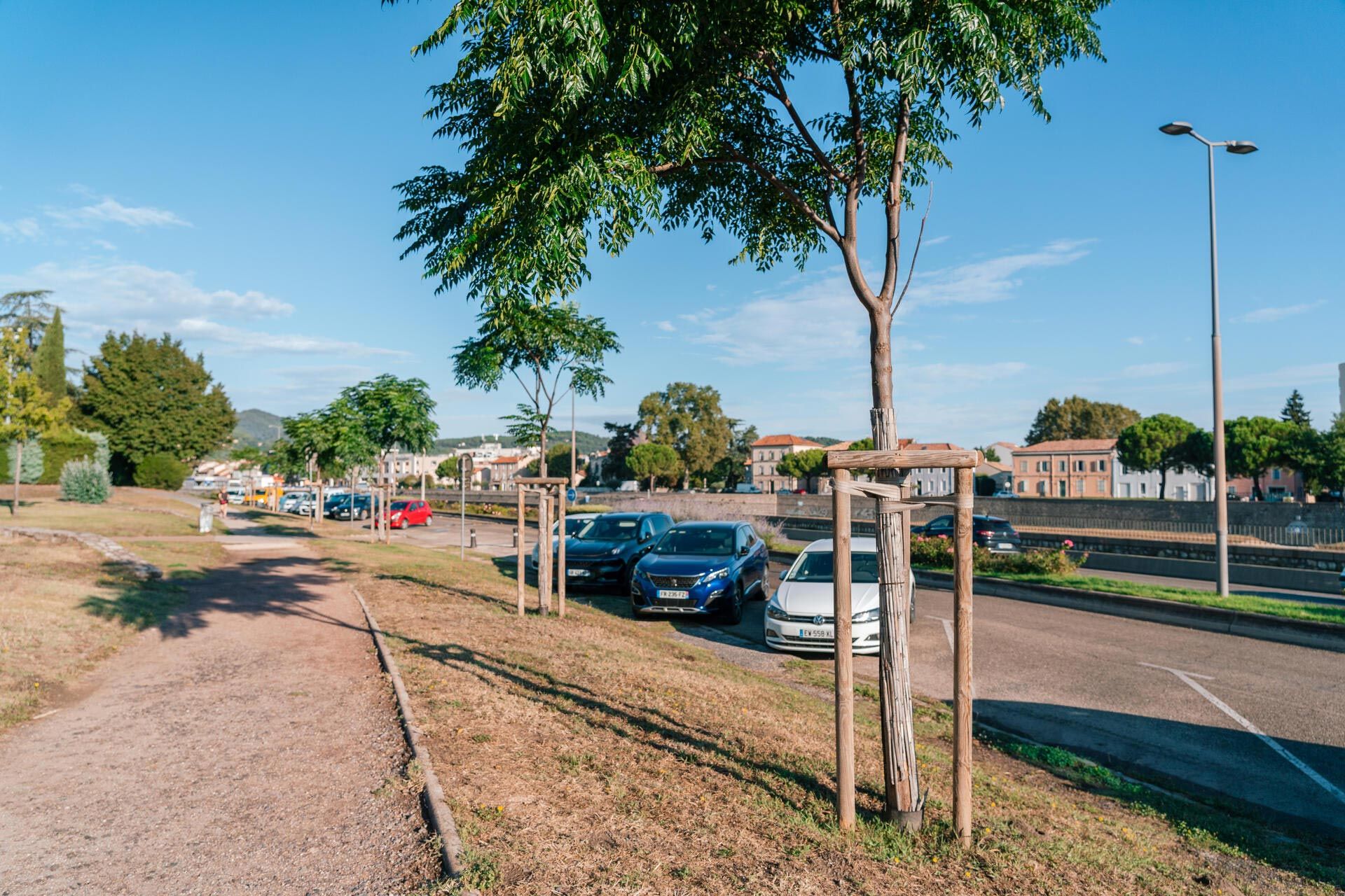 de jeunes arbres sont maintenus par des tuteurs après avoir été plantés à Alès dans le Gard.