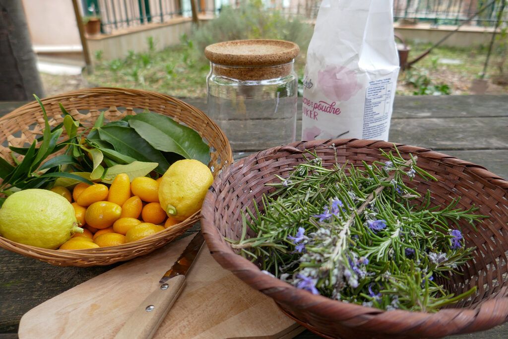 Tutoriel : sirop cru aux plantes, citron et orange - 2